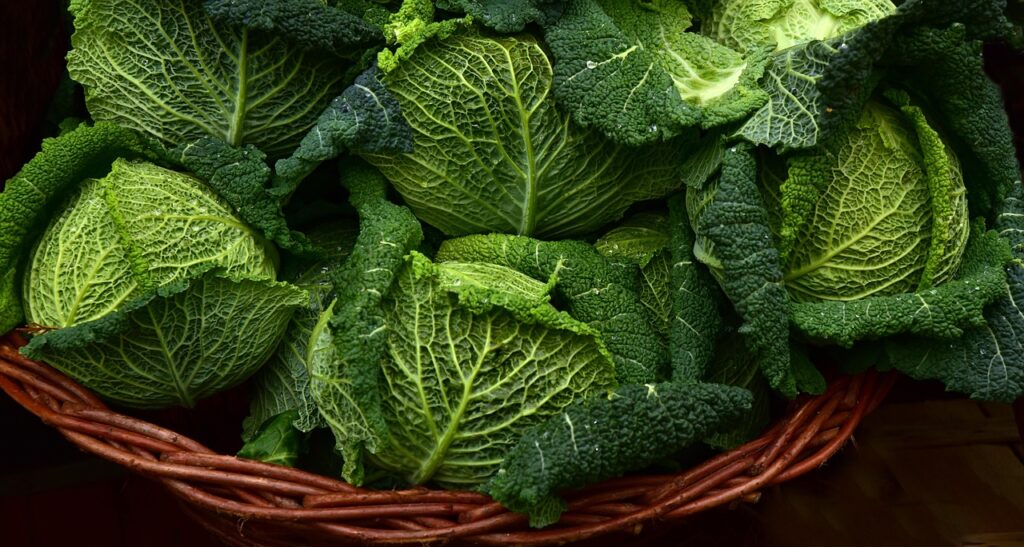 カット野菜を活用した自炊での時短テクニックとは？