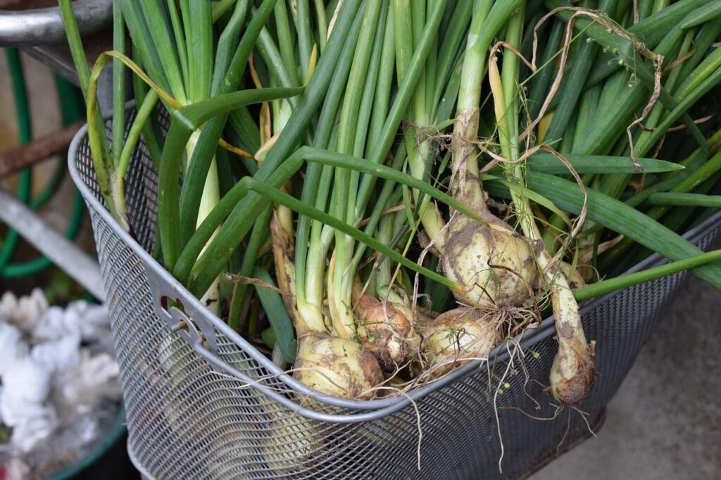 カット野菜を活用した自炊の時短テクニックは？