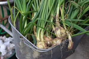 カット野菜を活用した自炊の時短テクニックは？