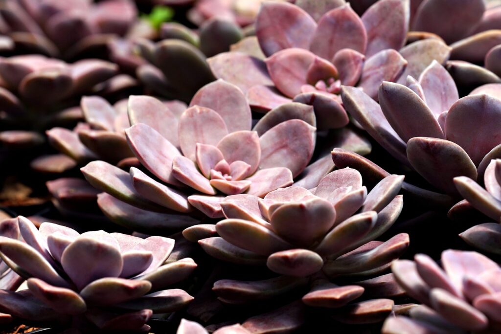 家計簿のつけ方は一人暮らしにどう役立つ？