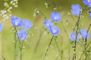 家計簿のつけ方を一人暮らしで効率的に行う方法は？