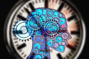 新卒の一人暮らしにおける生活費の内訳はどのようになっている？