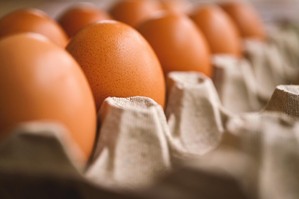 一人暮らしで食品ロスを減らす方法は？