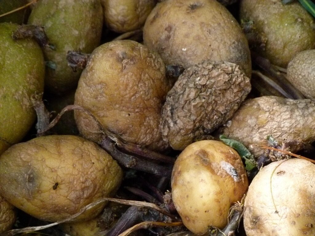 風呂のカビ防止対策は一人暮らしにどう役立つ？