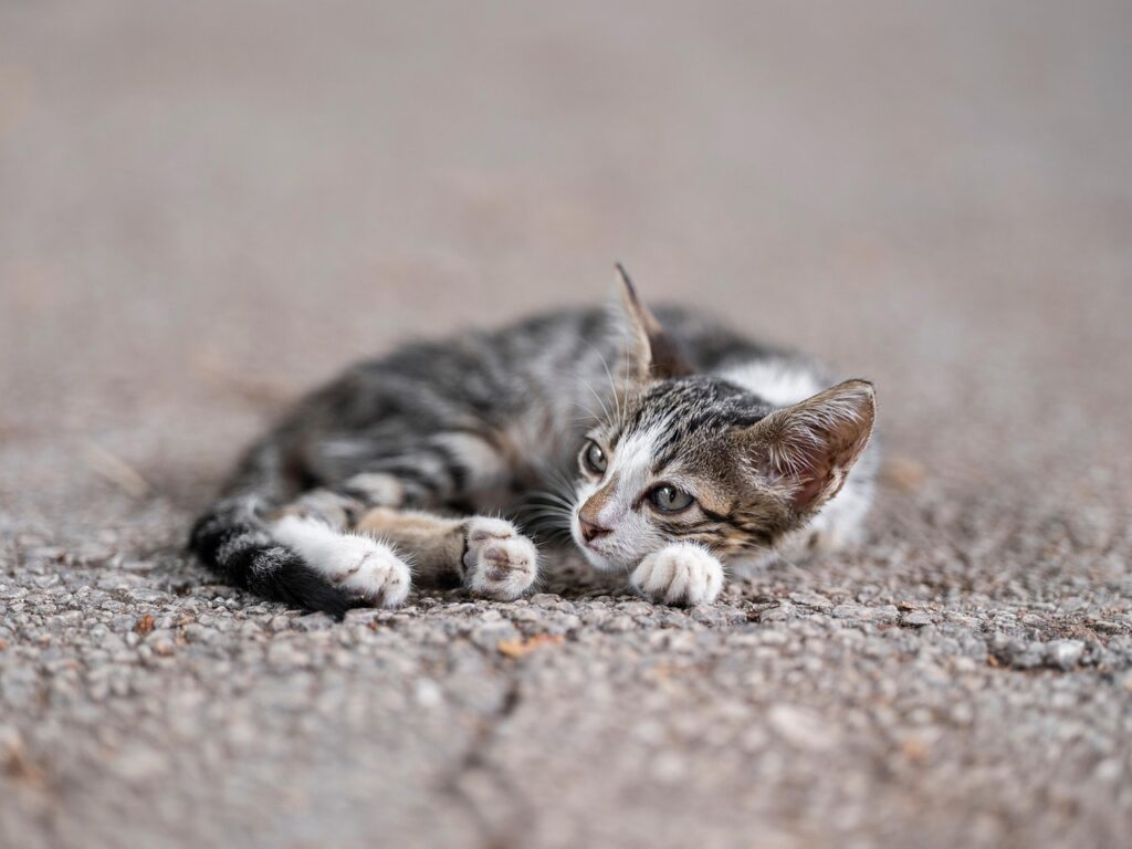 社会人の一人暮らしで疲れた日は家事をどうする？