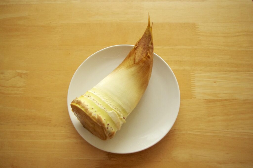 新卒男子が冷蔵庫で食材をすぐ腐らせないためには何を気を付けるべき？