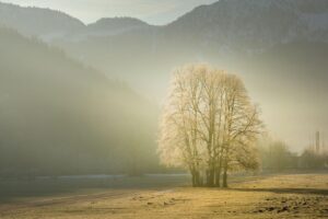 新卒の一人暮らしでの朝の家事を時短する方法は？