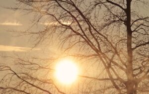 新卒の一人暮らしにおける初期費用の節約方法とおすすめ家電は？